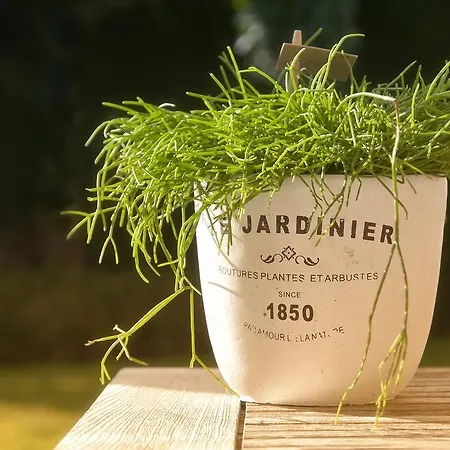 Colombe Blanche 住宿加早餐酒店