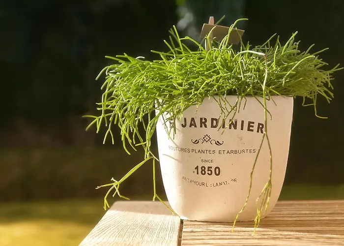 Colombe Blanche Bed and breakfast